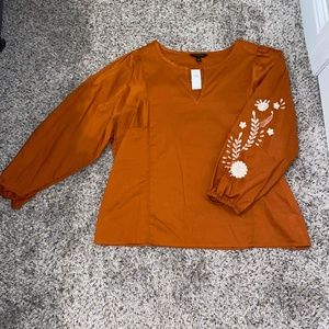 Banana Republic Blouse (Burnt Orange)